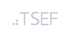 The Social Entrepreneurs Fund Logo
